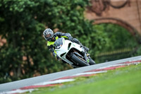 PJ-Motorsport-2019;anglesey;brands-hatch;cadwell-park;croft;donington-park;enduro-digital-images;event-digital-images;eventdigitalimages;mallory;no-limits;oulton-park;peter-wileman-photography;racing-digital-images;silverstone;snetterton;trackday-digital-images;trackday-photos;vmcc-banbury-run;welsh-2-day-enduro